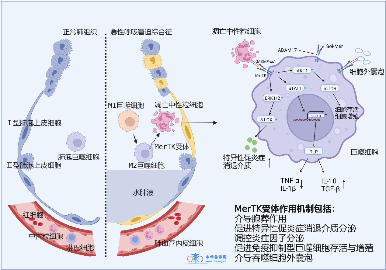 1659322573761103.png 2205101image001.png