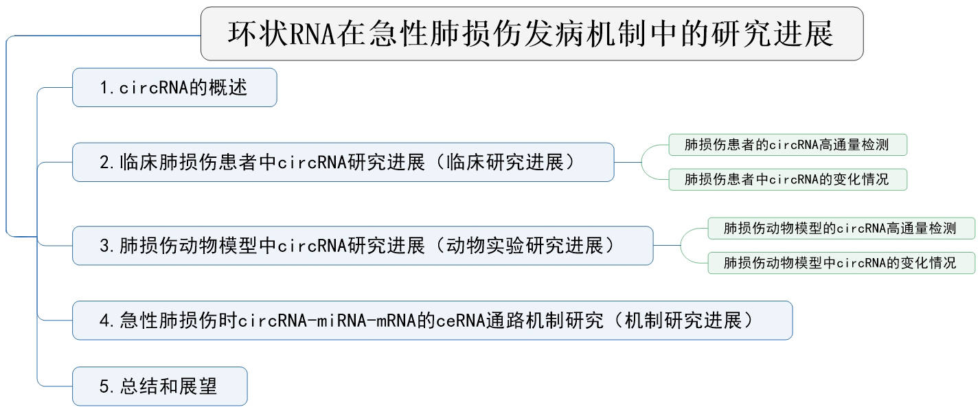 环状RNA在急性肺损伤发病机制中的研究进展.jpeg