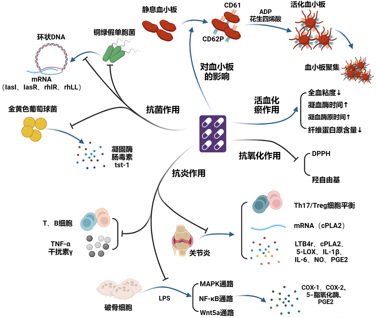 云南白药对凝血及炎症反应的改善作用及其在脓毒症治疗中的展望_思维导图.png