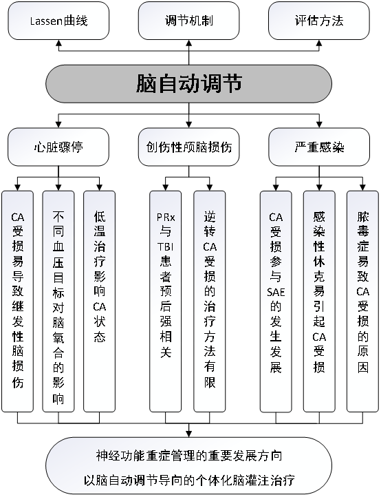 脑自动调节在危重症领域的研究进展_思维导图.png
