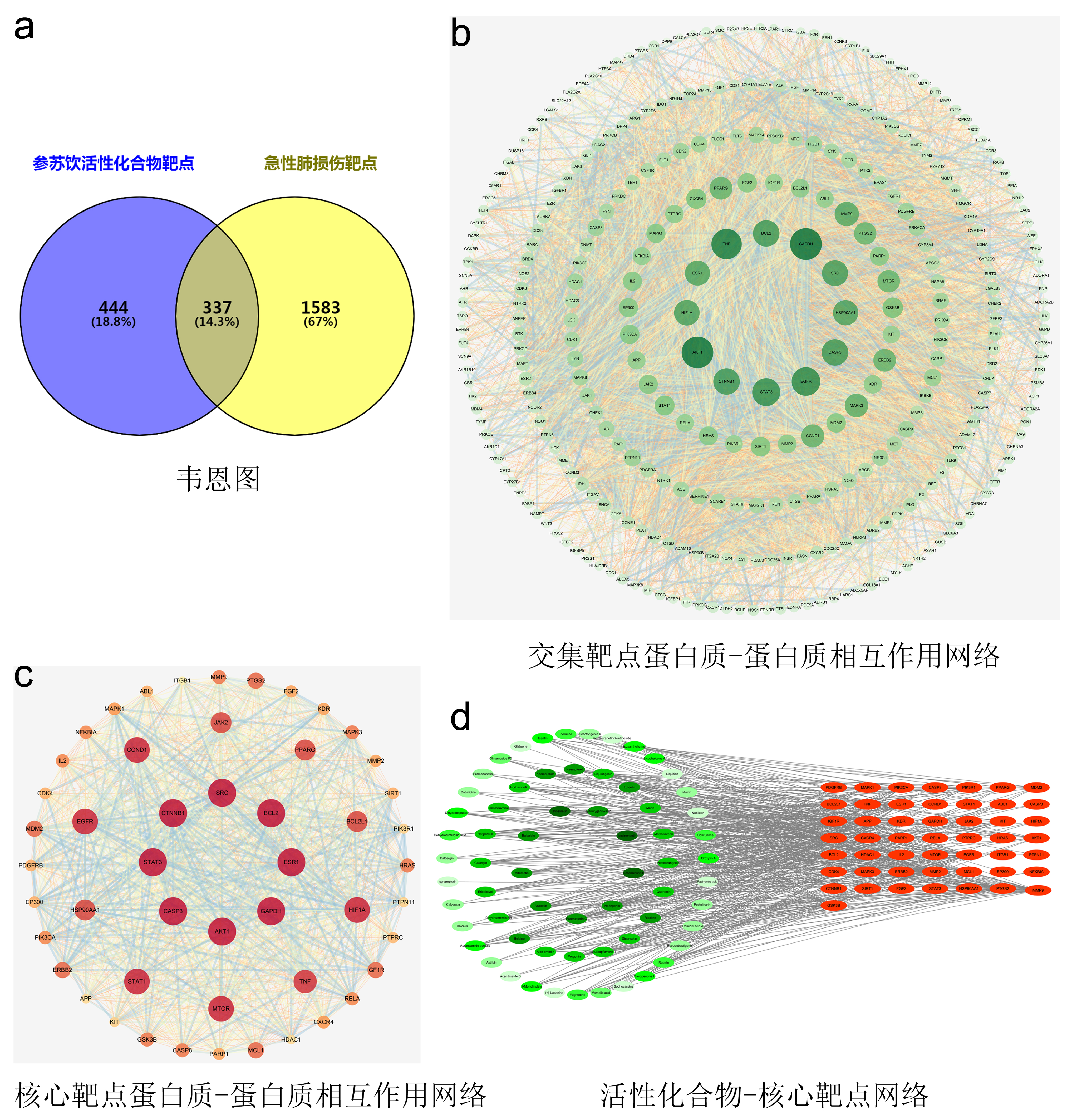 附图2 活性化合物-急性肺损伤网络药理学分析（600dpi）.jpg