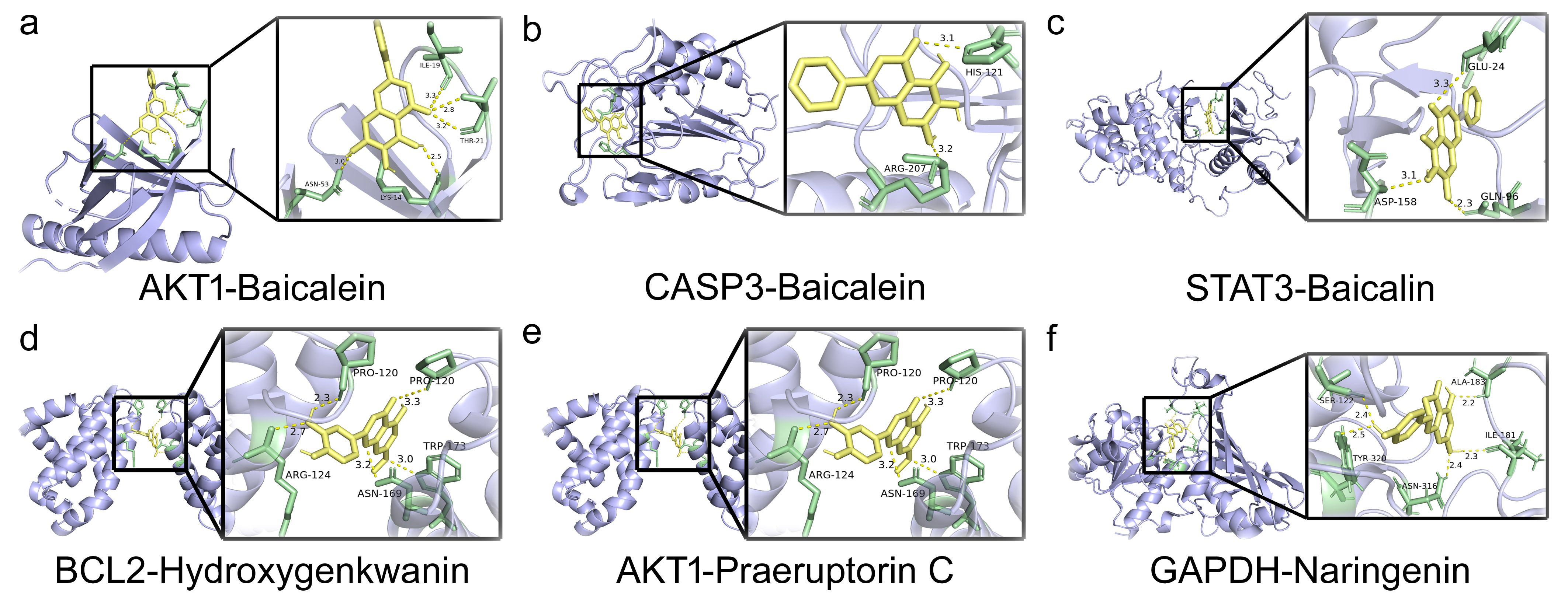 附图4 关键核心靶点-核心化合物分子对接（600dpi）.jpg