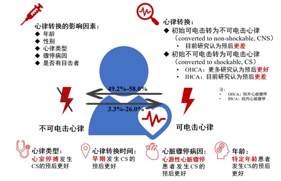 1752305076102527.jpg 心脏骤停后心律转换的研究进展_思维导图.jpg