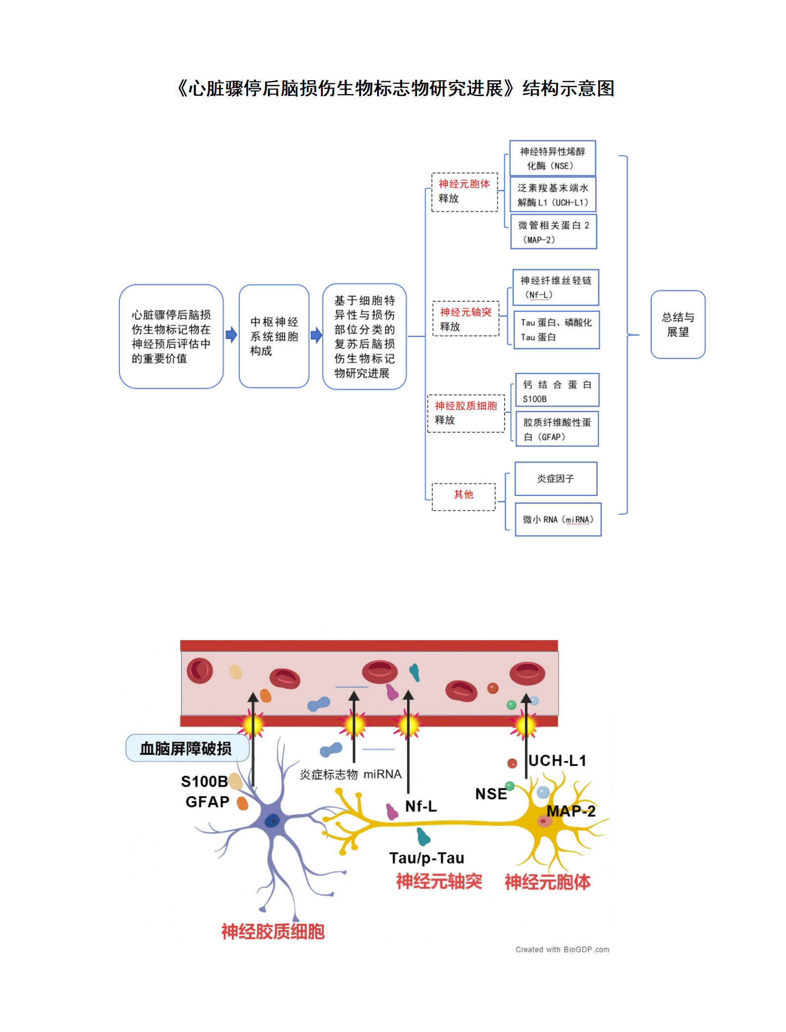 心脏骤停后脑损伤标记物结构示意图.png