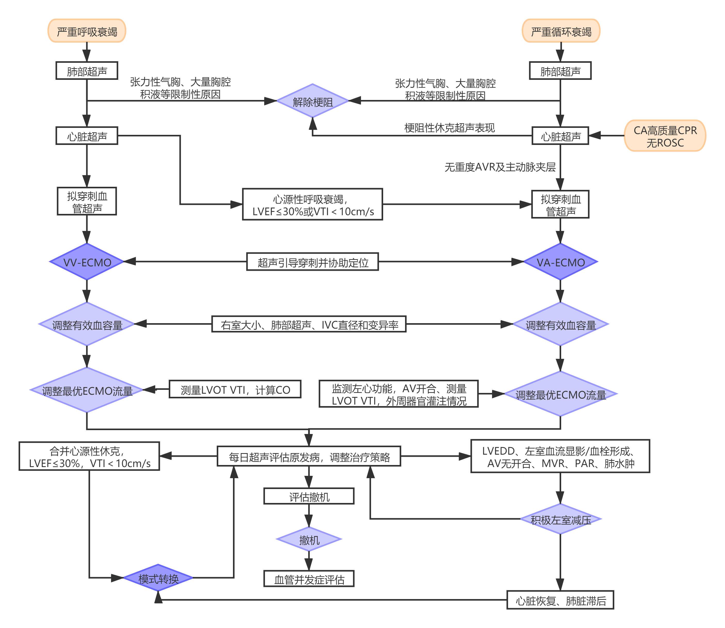 图1 ECMO实施超声扫查流程